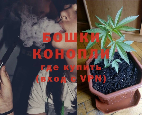 ПСИЛОЦИБИНОВЫЕ ГРИБЫ Абинск