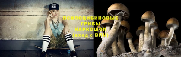 круглые Абаза