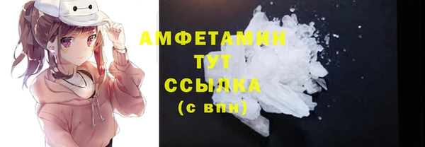 индика Саяногорск