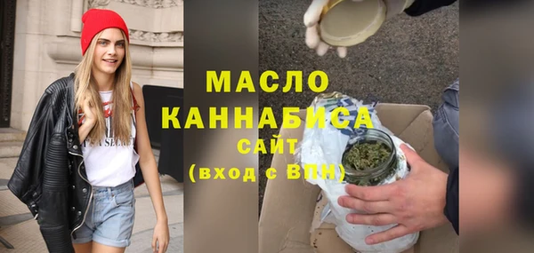 индика Саяногорск