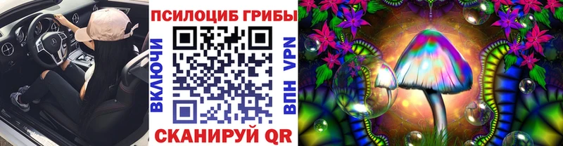мега ссылка  Жердевка  Псилоцибиновые грибы мицелий  где можно купить наркотик 