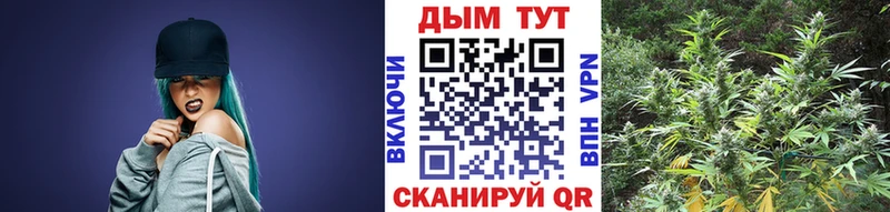 цены ОМГ ОМГ Бошки марихуана ГИДРОПОН Жердевка